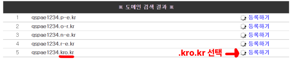 도메인 검색 결과에서 qspae1234.kro.kr 등록하기를 선택하는 화면