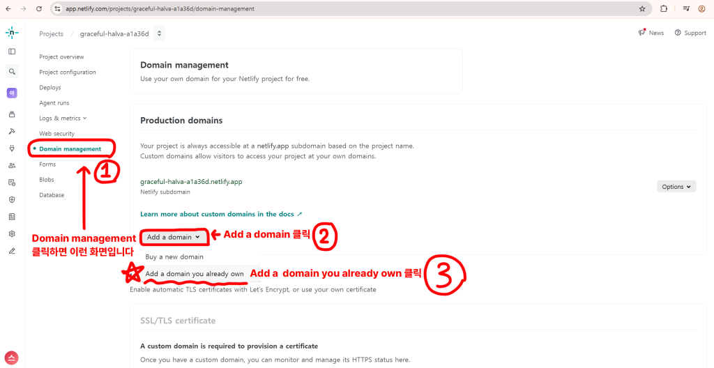 Netlify Domain management에서 Add a domain you already own 메뉴를 선택하는 화면