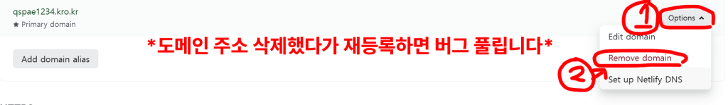 Netlify Options 메뉴의 Remove domain 위치와 도메인 재등록 안내