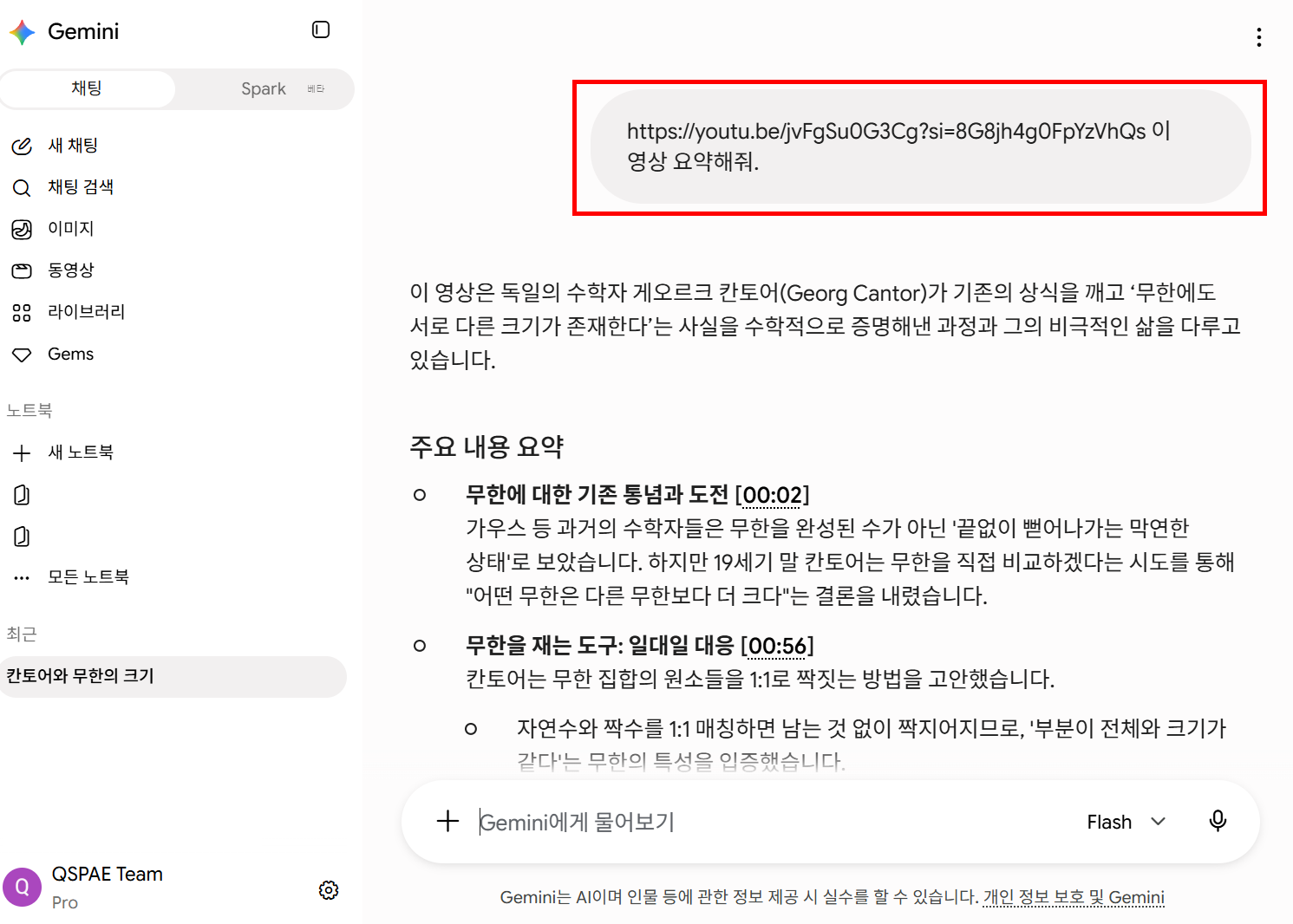 PC Gemini에서 YouTube URL로 요약 요청한 결과 화면